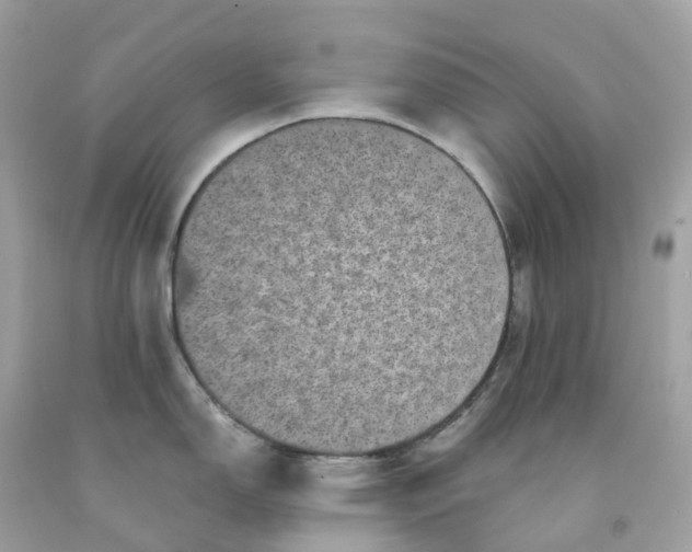 X0000091481150200709061834