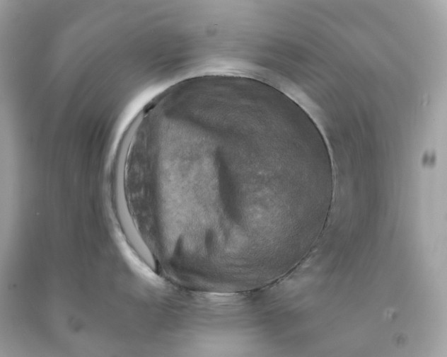 X0000091481152200709061834