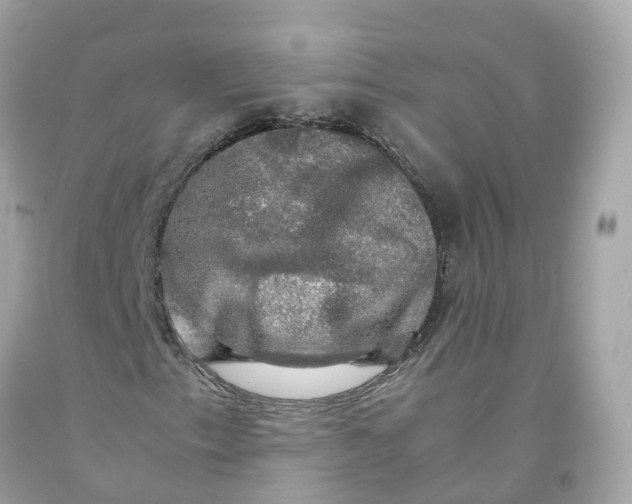 X0000091481153200709061833