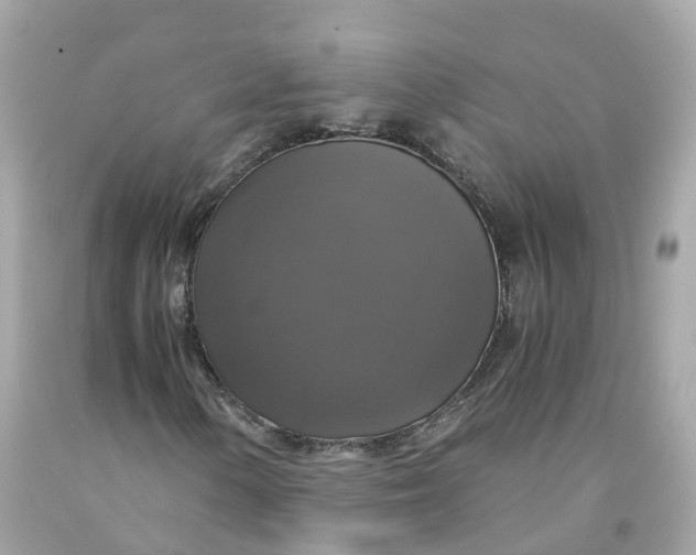 X0000091481154200709061833