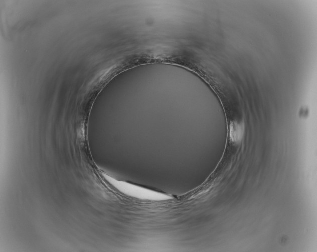 X0000091481155200709061833