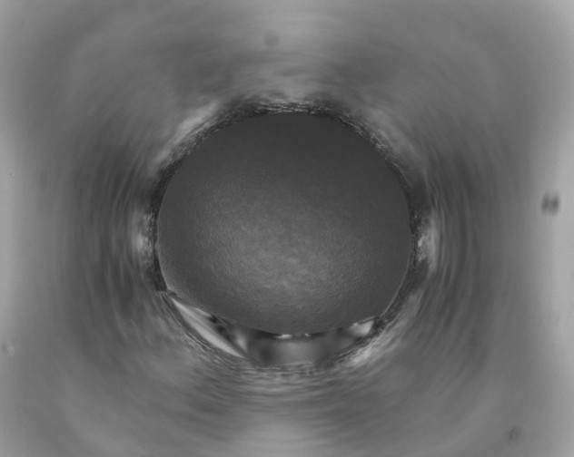 X0000091481156200709061833