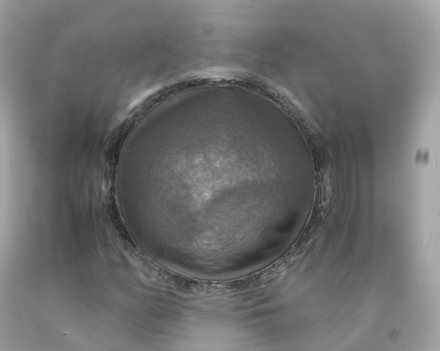 X0000091481158200709061833