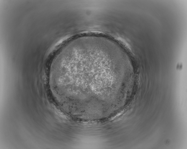 X0000091481159200709061833