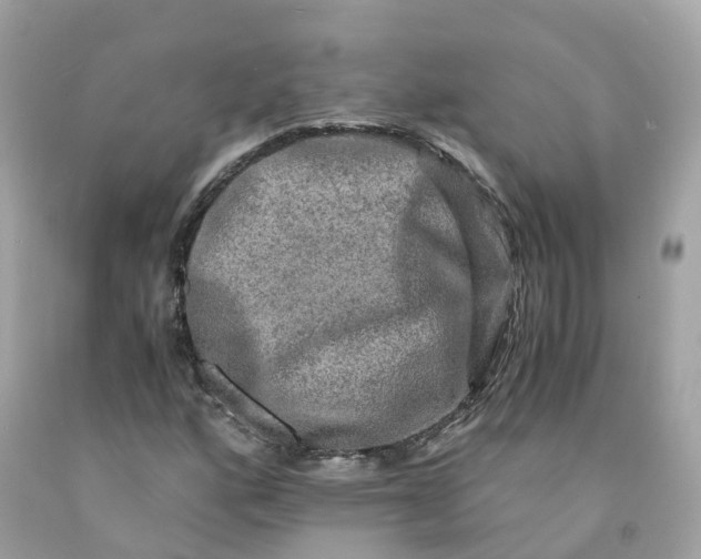 X0000091481160200709061833