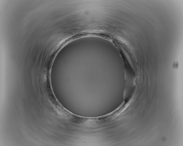 X0000091481161200709061833