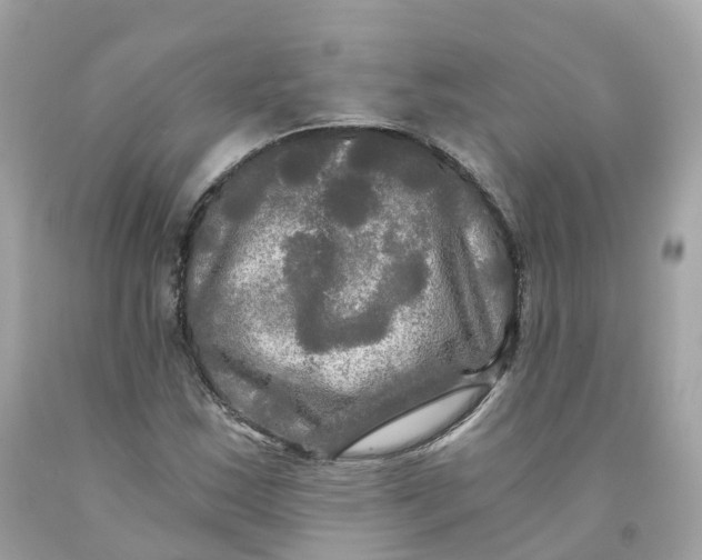 X0000091481163200709061833