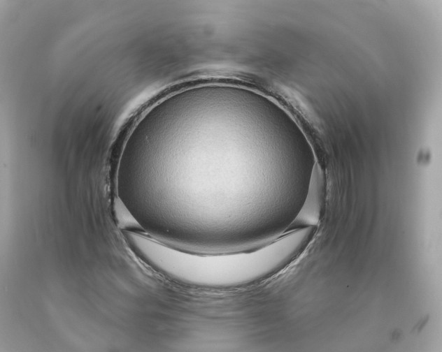 X0000091481164200709061833