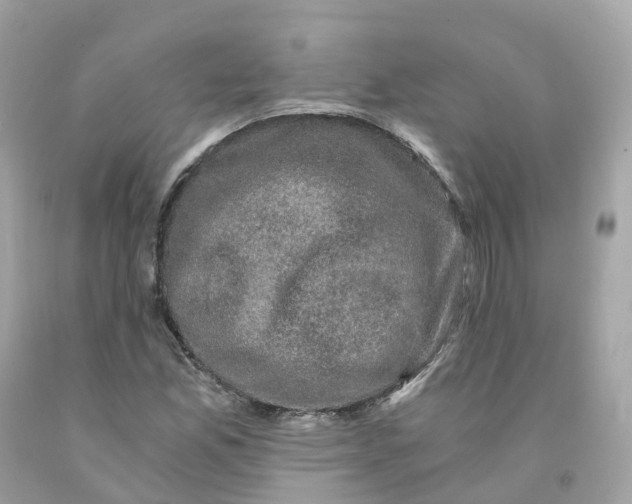 X0000091481165200709061833