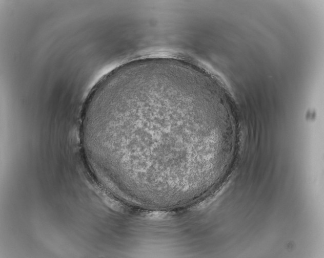 X0000091481166200709061833