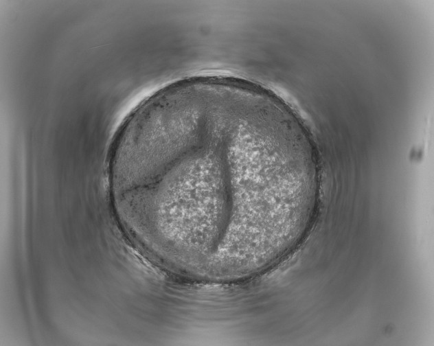 X0000091481167200709061833