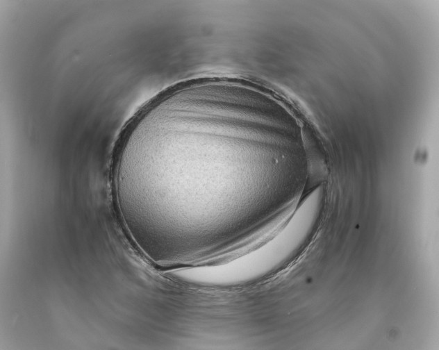 X0000091481168200709061833