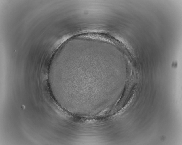 X0000091481169200709061833