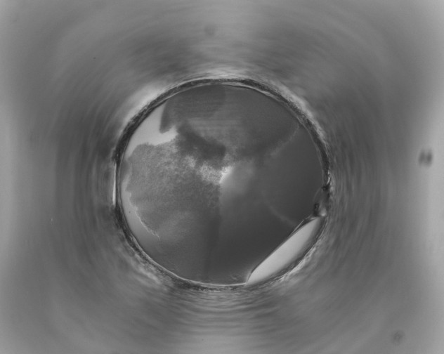 X0000091481171200709061833