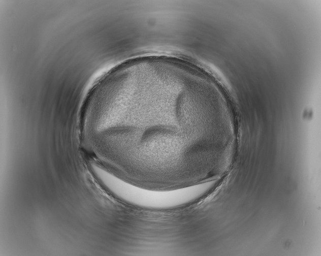 X0000091481172200709061833