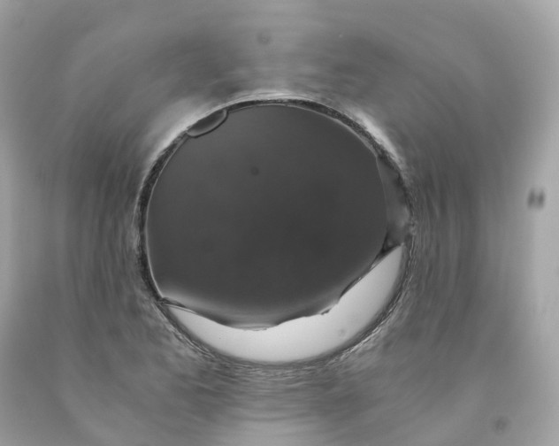 X0000091481173200709061833