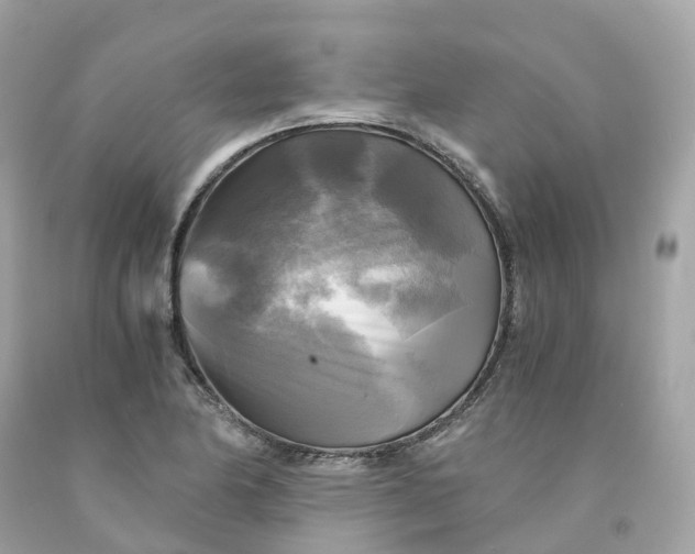 X0000091481174200709061833