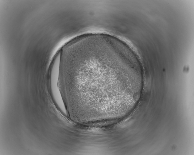 X0000091481175200709061833