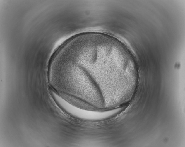 X0000091481176200709061833