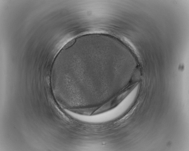 X0000091481177200709061833