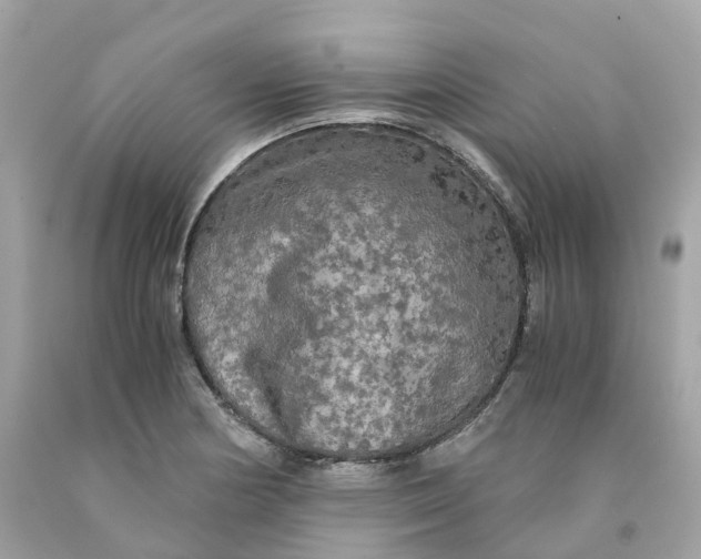 X0000091481178200709061832