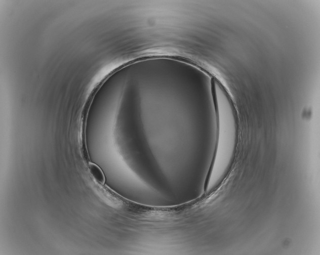 X0000091481179200709061832