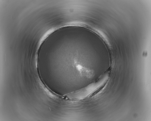 X0000091481180200709061832