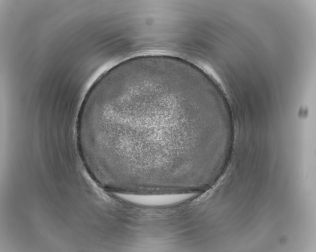 X0000091481181200709061832