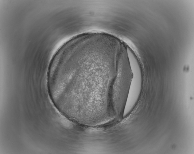 X0000091481183200709061832