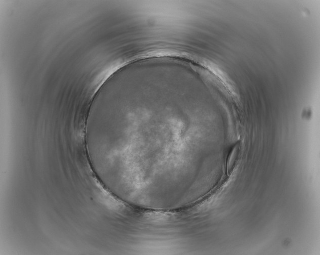 X0000091481185200709061832