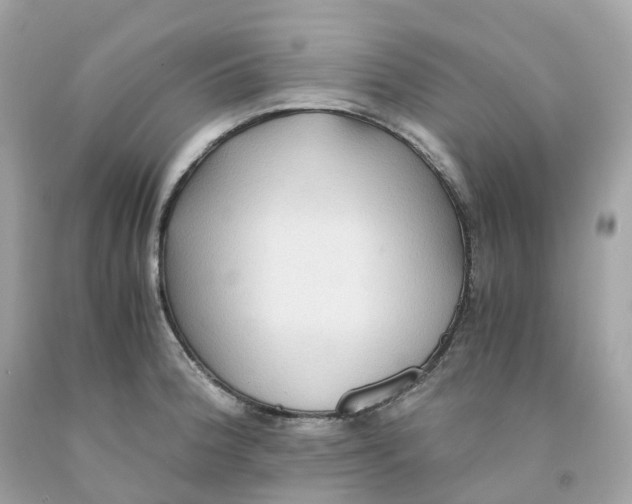 X0000091481188200709061832