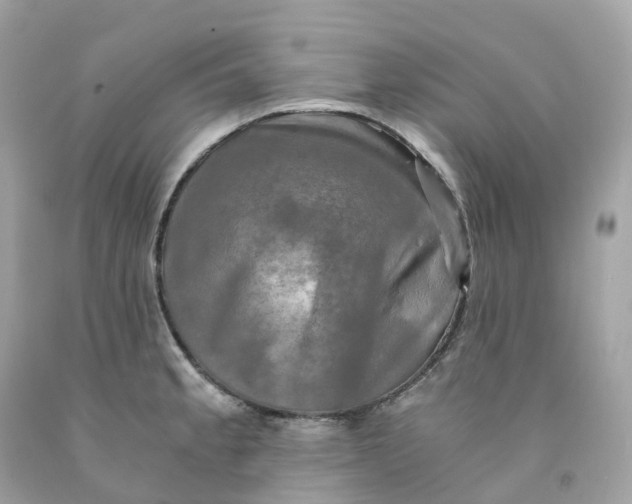 X0000091481189200709061832