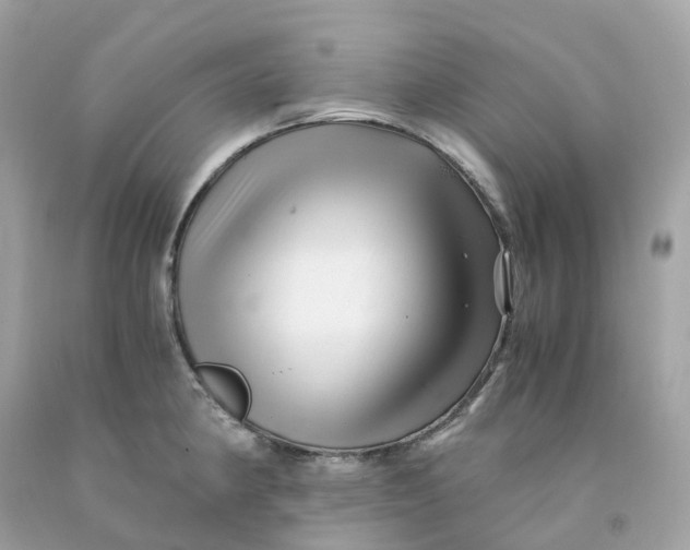 X0000091481190200709061832