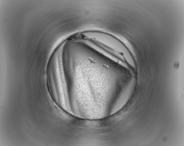 X0000091481191200709061832