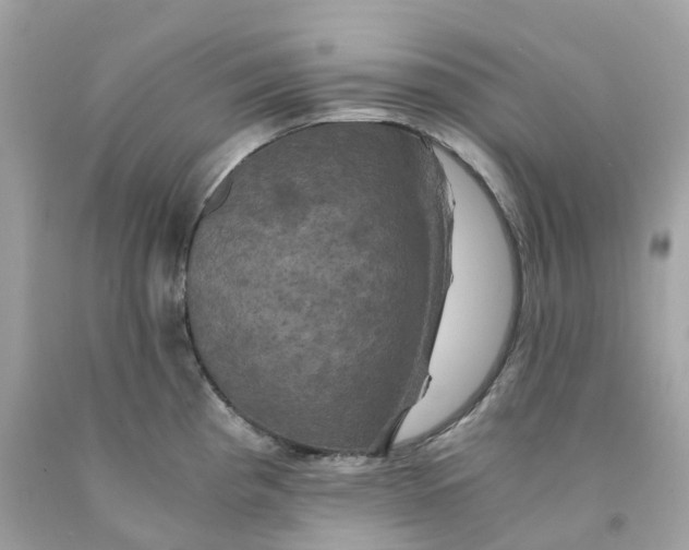 X0000091481193200709061832