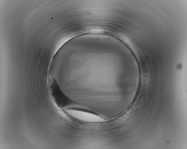 X0000091481194200709061832