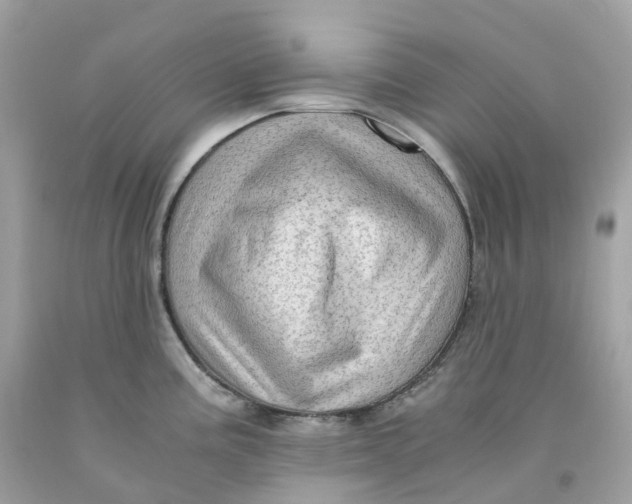 X0000091481195200709061832