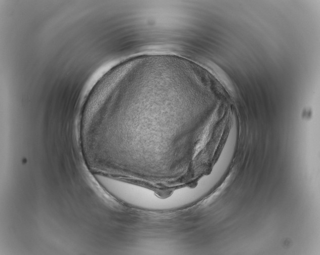 X0000091481196200709061832