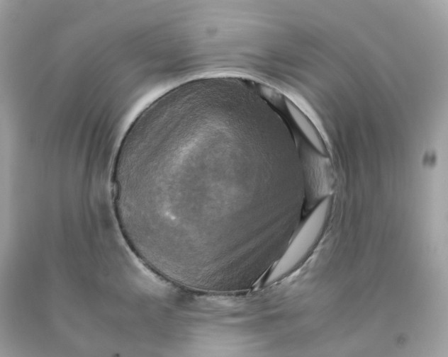 X0000091481197200709061832