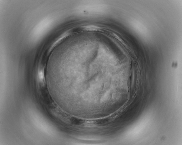 X0000091481198200709061832