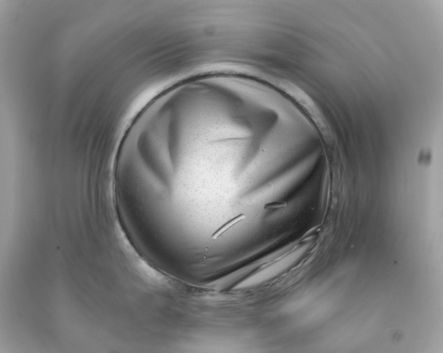 X0000091481199200709061832