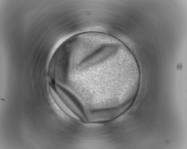 X0000091481200200709061832