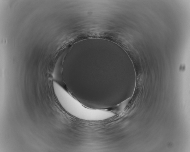 X0000091481202200709061831