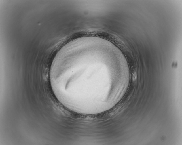 X0000091481204200709061831