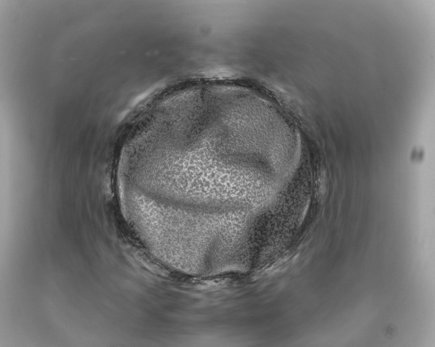 X0000091481205200709061831