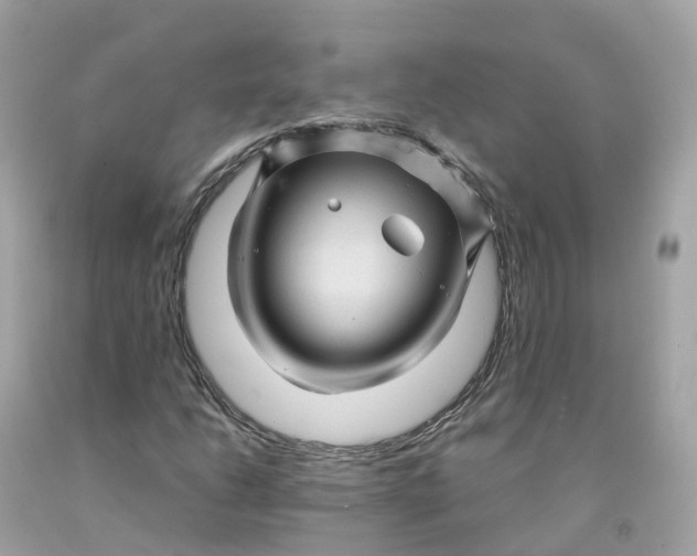 X0000091481206200709061832