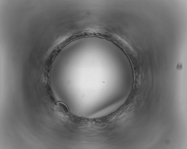 X0000091481207200709061832