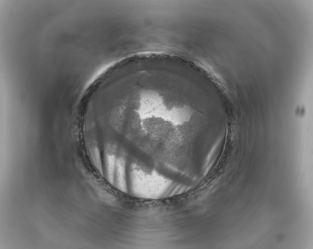 X0000091481208200709061832