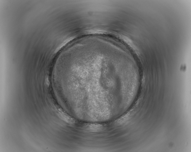 X0000091481209200709061832