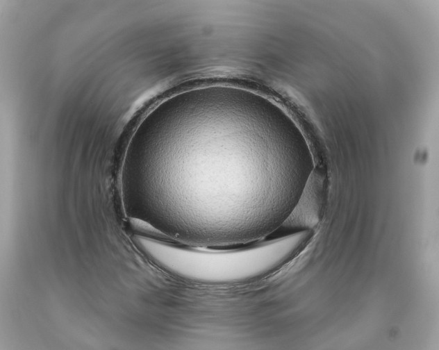 X0000091481210200709061832